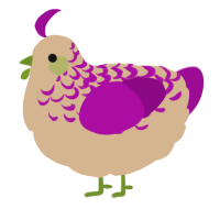 A beige and plum chicken with a half-lace pattern