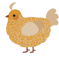 A orange and beige chicken with a double-lace pattern