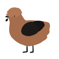 (unnamed), a brown and sable chicken