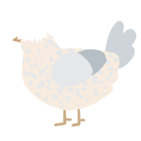 A cream and mist chicken with a speckle pattern