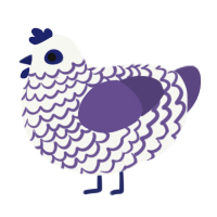 Oignon coupé, a white and overcast chicken with a lace pattern