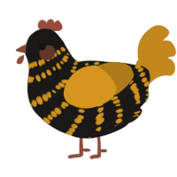 A sable and ochre chicken with a bar pattern