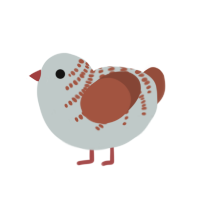 A silver and russet chicken with a half-bar pattern