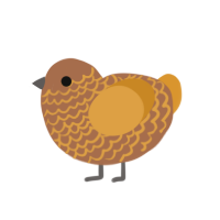 A brown and orange chicken with a lace pattern