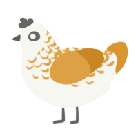 Sir Percival, a white and orange chicken with a half-lace pattern