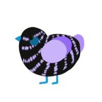 A black and lilac chicken with a bar pattern