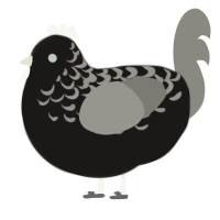 Charcoal, a sable and ash chicken with a half-lace pattern