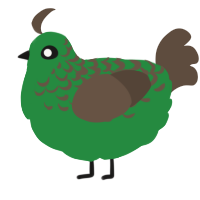 A viridian and bark chicken with a half-lace pattern