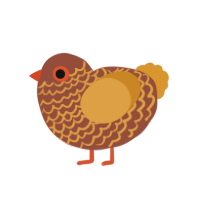 A russet and orange chicken with a lace pattern