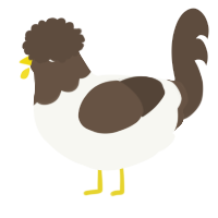 A white and bark chicken with a head pattern