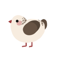 A cream and bark chicken with a neck-band pattern