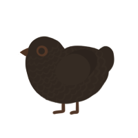 A bark chicken with a lace pattern