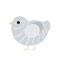 A mist chicken with a bar pattern
