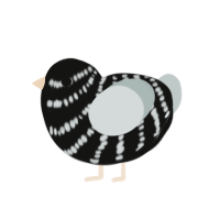 A black and silver chicken with a bar pattern