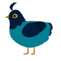 I like women, a sea and tumblr chicken with a head pattern