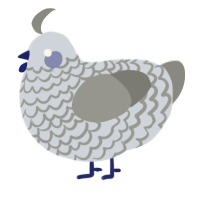 A mist and ash chicken with a lace pattern