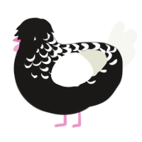 A sable and white chicken with a half-lace pattern