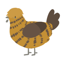 A gold and bark chicken with a bar pattern