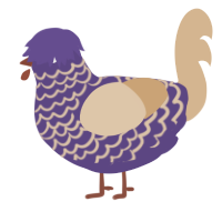 A overcast and beige chicken with a lace pattern