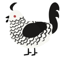 Nosferatu, a white and sable chicken with a lace pattern