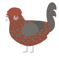 A russet and grey chicken with a speckle pattern