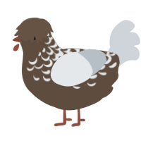 A bark and mist chicken with a half-lace pattern