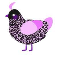 A sable and lavender chicken with a double-lace pattern
