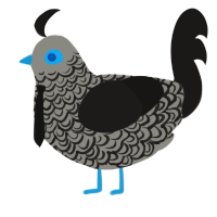 A ash and sable chicken with a double-lace pattern