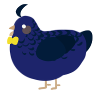 A navy and tumblr chicken with a half-lace pattern