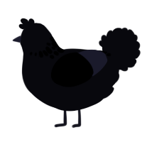 A white chicken with a neck-speckle pattern