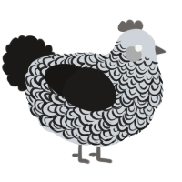 Marbled, a mist and sable chicken with a double-lace pattern