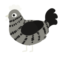 A ash and sable chicken with a bar pattern