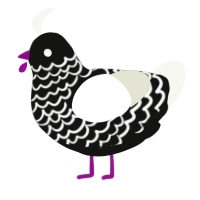 A black and white chicken with a lace pattern