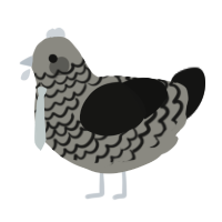 Greyscale, a ash and black chicken with a lace pattern