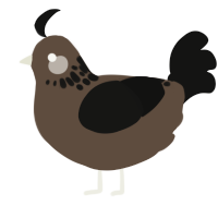 tabby print, a bark and black chicken with a neck-speckle pattern