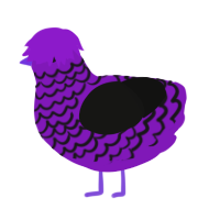 Aubergine, a violet and black chicken with a lace pattern