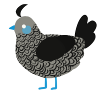 cloud cover, a ash and black chicken with a double-lace pattern