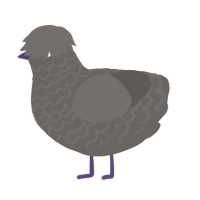 Weird Rock, a grey chicken with a lace pattern