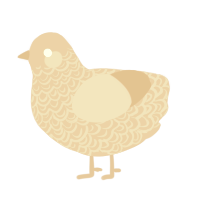 the skin, a honey chicken with a double-lace pattern