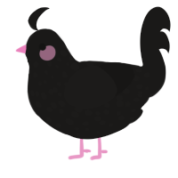 Wytch, a sable chicken with a speckle pattern
