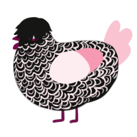 A black and rose chicken with a double-lace pattern