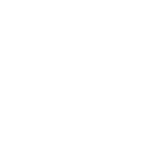 A white chicken with a head pattern