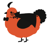 Sus Orange, a vermilion and black chicken with a neck-speckle pattern