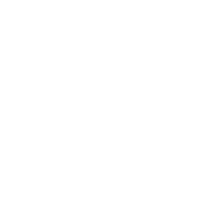 Sinkhole, a white chicken with a lace pattern