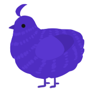 Indiegogo, a indigo chicken with a bar pattern