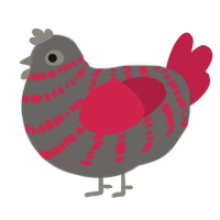 A grey and crimson chicken with a bar pattern