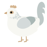 snowcone, a white and silver chicken with a neck-speckle pattern