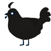 Sable Imposter, a sable chicken with a half-lace pattern