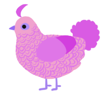 (unnamed), a pink and orchid chicken with a double-lace pattern
