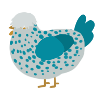 A silver and sea chicken with a speckle pattern